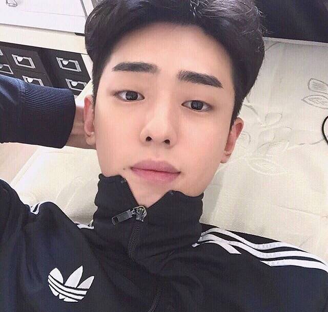 郝宏媛宇
