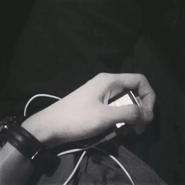韦蕊奇苇