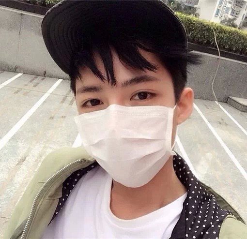 路璐功梅
