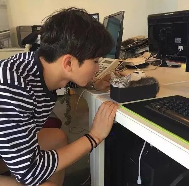 祝宏翠初